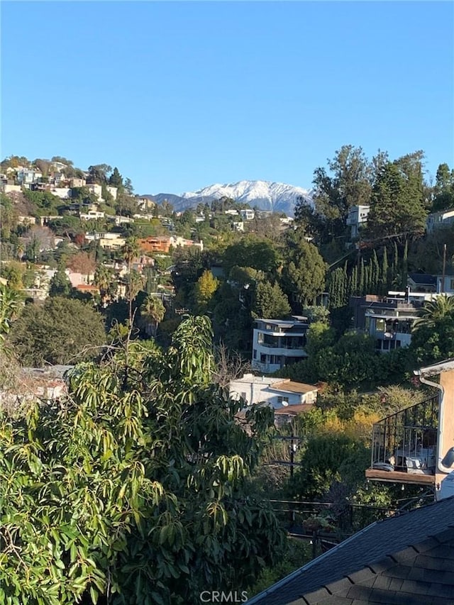 1419 Angelus Ave, Los Angeles, CA 90026 - mountain view