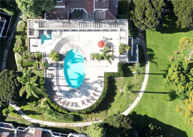 bird's eye view of a pool
