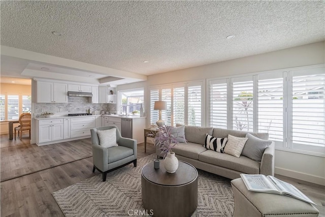 living area featuring a textured ceiling, healthy amount of natural light, light wood-style flooring, and baseboards
