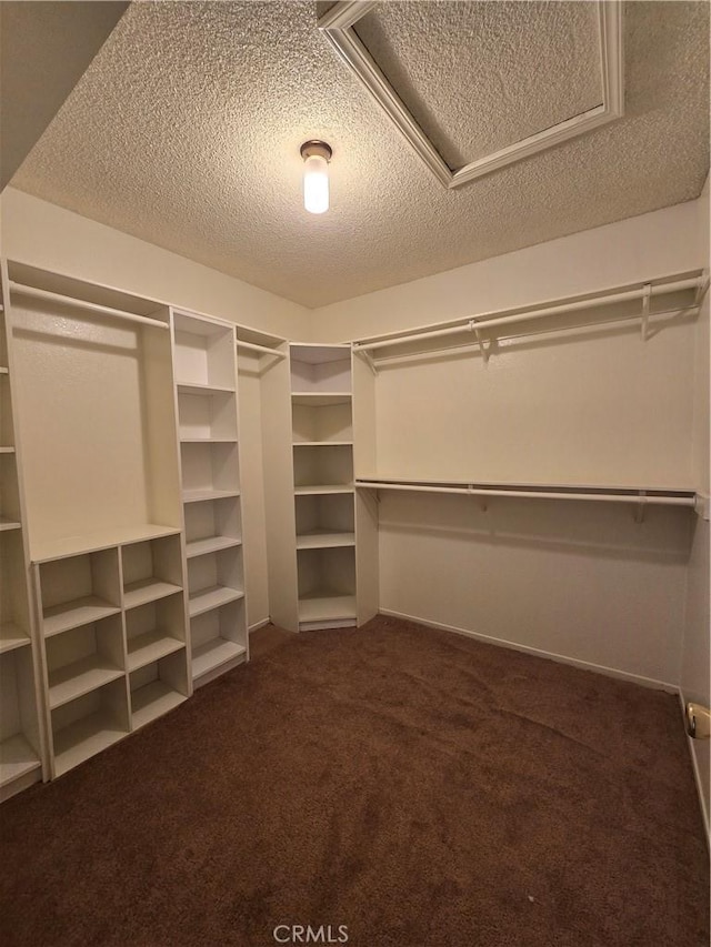 13436 Francisquito Ave Unit C, Baldwin Park, CA 91706 - spacious closet featuring dark colored carpet