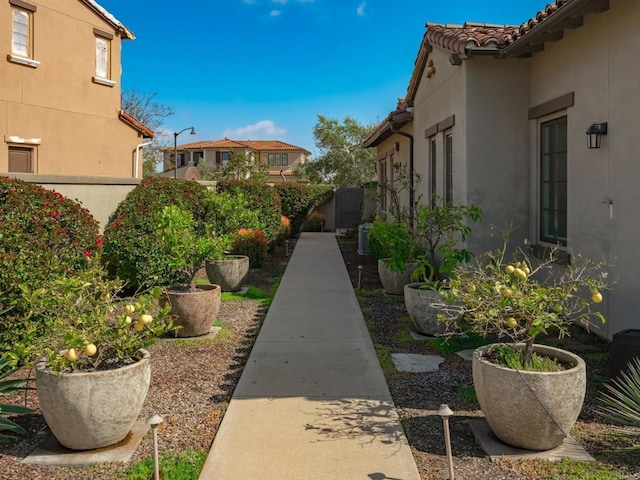 8784 Avenida Mirador, Rancho Santa Fe, CA 92067 - photo 37
