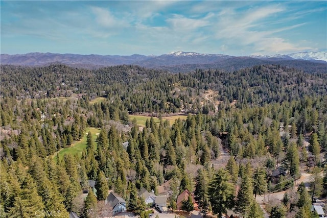 drone / aerial view of a forest and a mountainous background