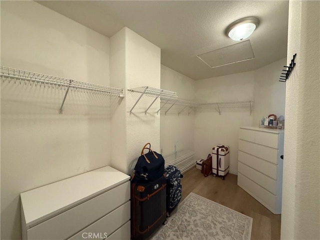 23 Ponte Sonata, Lake Elsinore, CA 92532 - spacious closet with wood finished floors and attic access