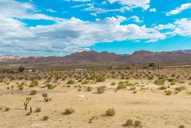 5858 Neptune Rd, Joshua Tree, CA 92252