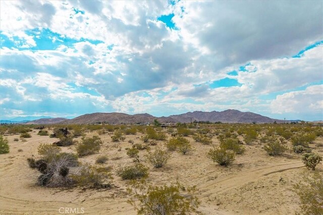 5858 Neptune Rd, Joshua Tree, CA 92252