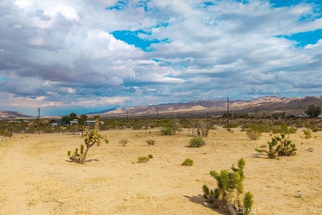 5858 Neptune Rd, Joshua Tree, CA 92252