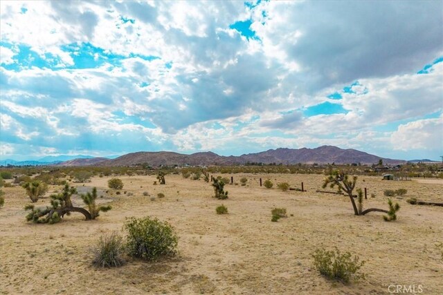 5858 Neptune Rd, Joshua Tree, CA 92252