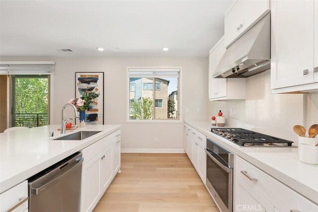 554 Catalonia, Lake Forest, CA 92630 - kitchen with stainless steel appliances, a sink, under cabinet range hood, light wood-style floors, and white cabinetry