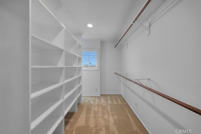 1467 18th St, Manhattan Beach, CA 90266 - spacious closet with carpet flooring