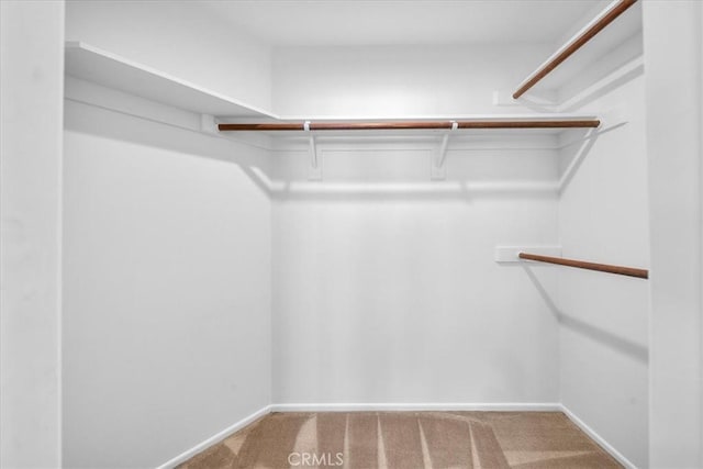 1467 18th St, Manhattan Beach, CA 90266 - walk in closet featuring carpet