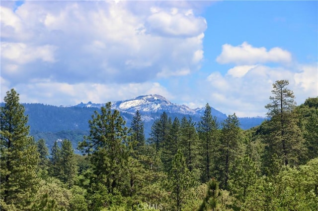 45792 Sutton Dr, Oakhurst, CA 93644 - mountain view with a heavily wooded area