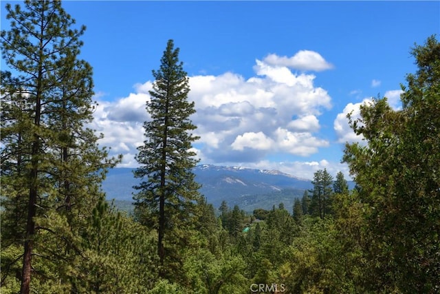 45792 Sutton Dr, Oakhurst, CA 93644 - view of mountain backdrop featuring a heavily wooded area