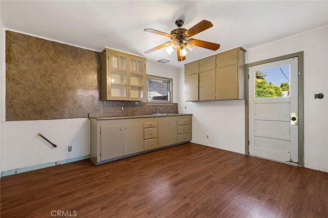 440 S Plumas St, Willows, CA 95988 - kitchen with healthy amount of natural light, dark wood-style floors, a sink, ceiling fan, and ornamental molding