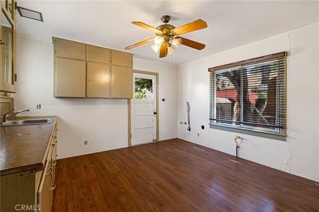 440 S Plumas St, Willows, CA 95988 - kitchen with a sink, dark wood-style flooring, and ceiling fan