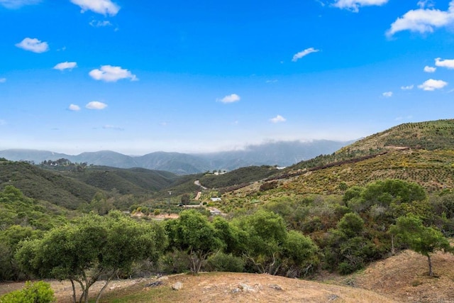 2389 Eric Rd, Fallbrook, CA 92028 - view of mountain backdrop