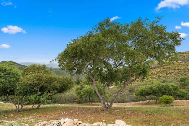 2389 Eric Rd, Fallbrook, CA 92028 - photo 14