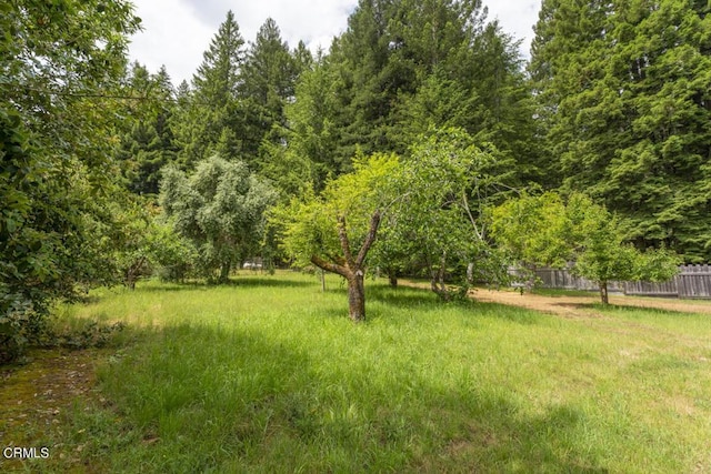 14480 Docker Hill Rd, Comptche, CA 95427 - view of yard featuring fence and a forest view