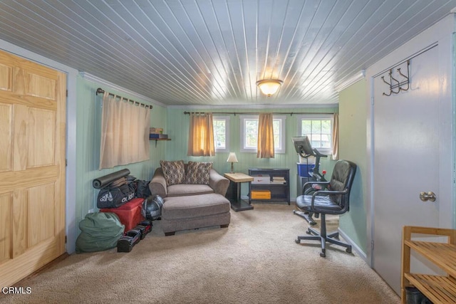 14480 Docker Hill Rd, Comptche, CA 95427 - living area with carpet flooring, wooden ceiling, and ornamental molding