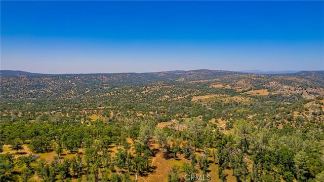 1 Sesame St, Coarsegold, CA 93614 - photo 18
