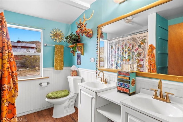 51609 Oregon Trl, Morongo Valley, CA 92256 - bathroom with wainscoting, toilet, vanity, wood finished floors, and curtained shower