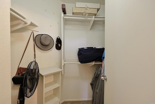 1825 Via Capri St, Chula Vista, CA 91913 - view of spacious closet