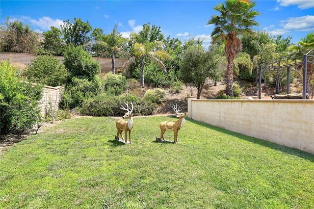 4448 St Cloud, Claremont, CA 91711 - view of yard