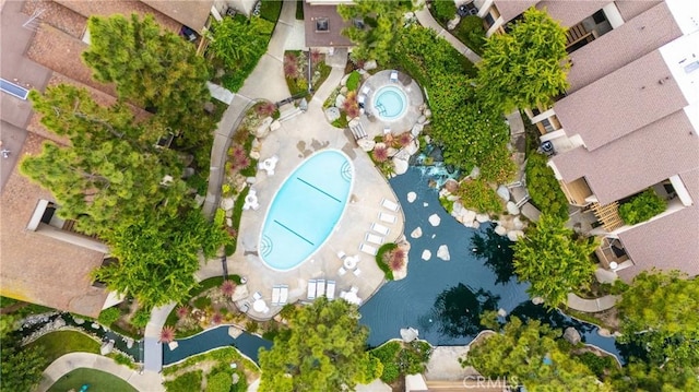 bird's eye view of a pool