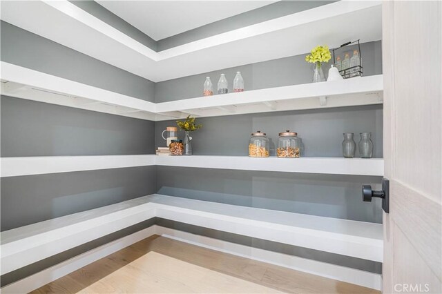 view of pantry