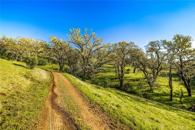 5155 Mill Creek Rd, Talmage, CA 95481 - photo 30