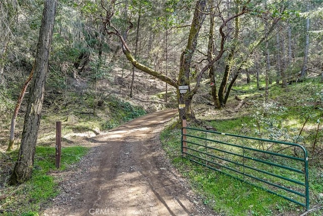 5155 Mill Creek Rd, Talmage, CA 95481 - photo 27