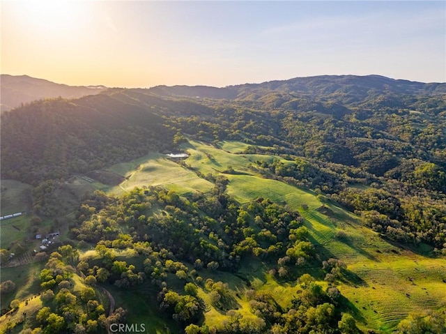 5155 Mill Creek Rd, Talmage, CA 95481 - photo 52
