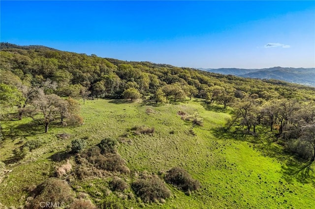 5155 Mill Creek Rd, Talmage, CA 95481 - photo 38
