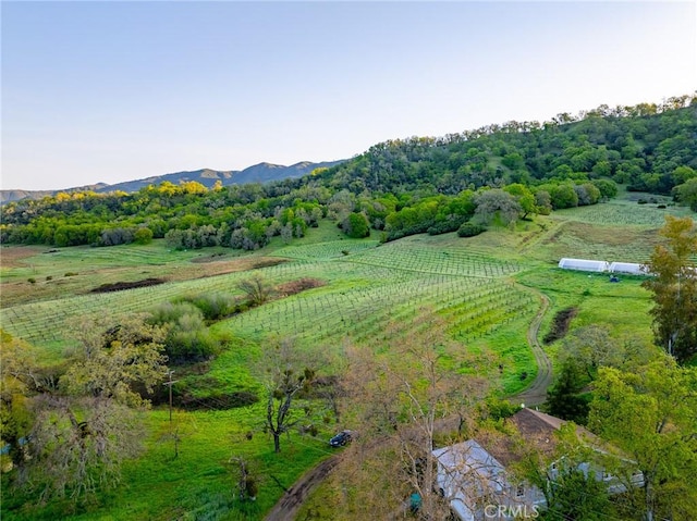 5155 Mill Creek Rd, Talmage, CA 95481 - photo 49