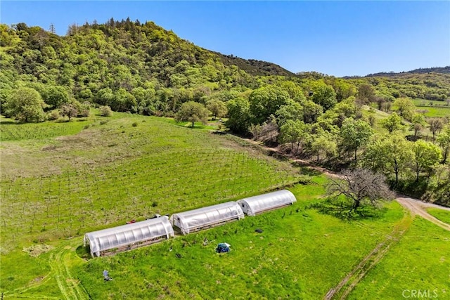 5155 Mill Creek Rd, Talmage, CA 95481 - photo 15