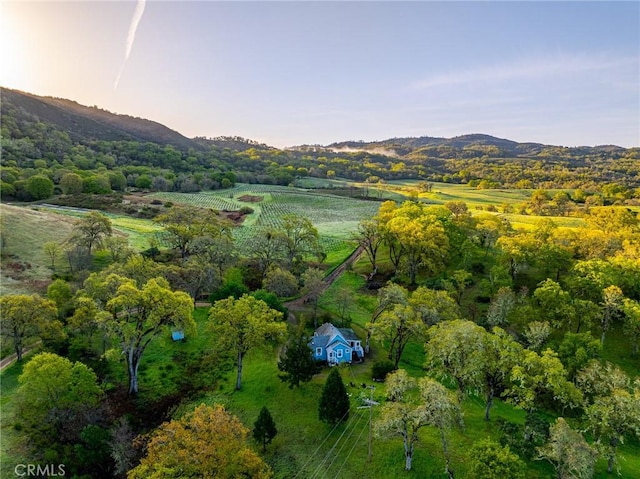 5155 Mill Creek Rd, Talmage, CA 95481 - photo 21