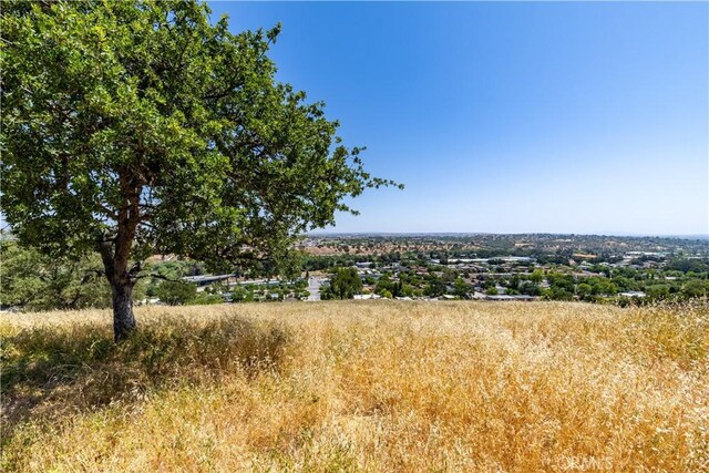 437 Calle Alto St, Paso Robles, CA 93446 - photo 5