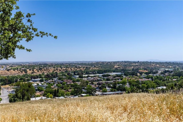 437 Calle Alto St, Paso Robles, CA 93446 - photo 6