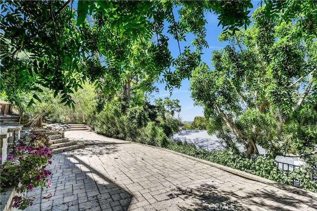 4117 Vanetta Pl, Studio City, CA 91604 - view of patio / terrace