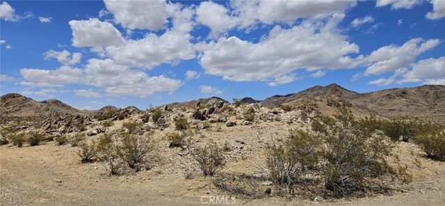 800 Monolith Rd, Lucerne Valley, CA 92356 - photo 9