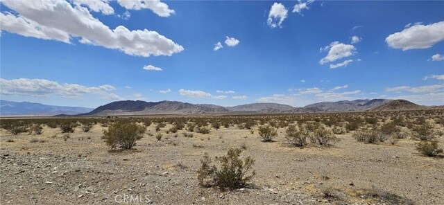 800 Monolith Rd, Lucerne Valley, CA 92356 - photo 6