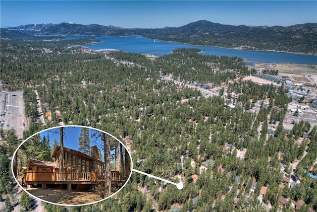 733 Winterset Ct, Big Bear Lake, CA 92315 - photo 4
