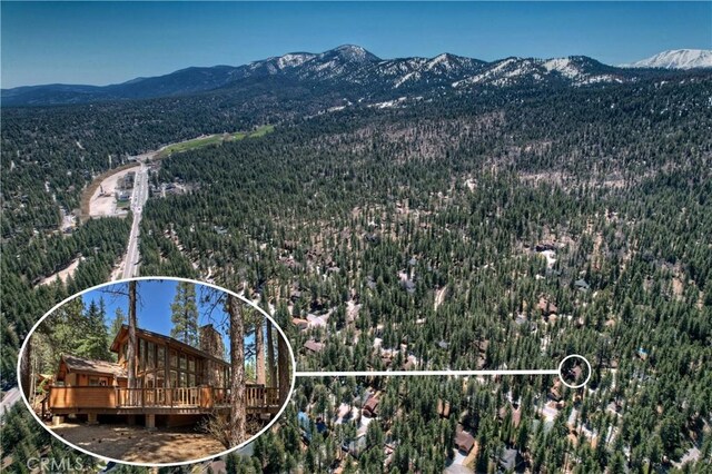 733 Winterset Ct, Big Bear Lake, CA 92315 - photo 50