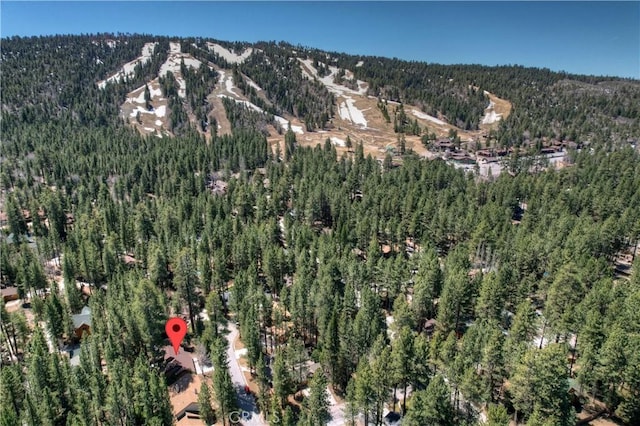 733 Winterset Ct, Big Bear Lake, CA 92315 - photo 3