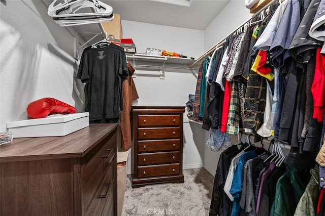 walk in closet featuring carpet floors