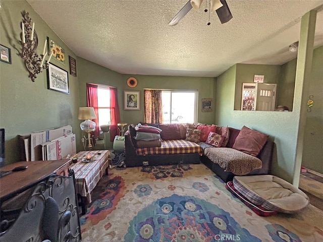 14402 Boxtree St, Lake Hughes, CA 93532 - carpeted living area featuring ceiling fan and a textured ceiling