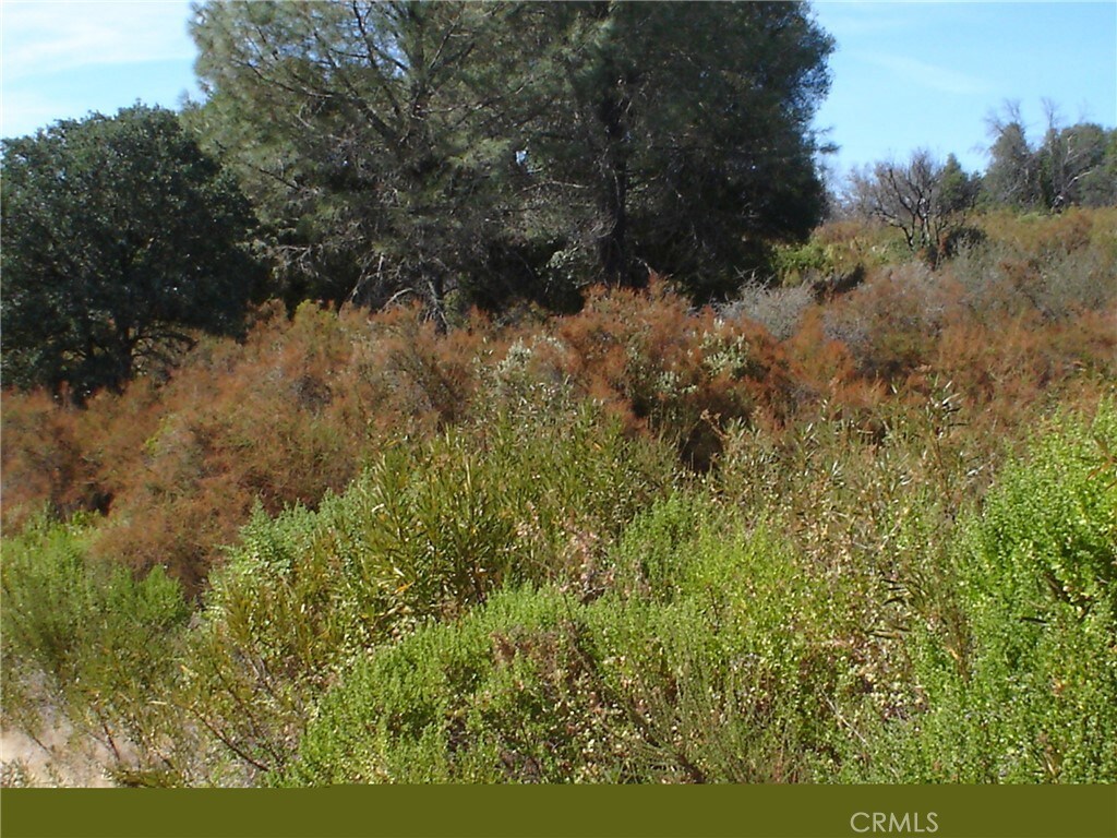 16344 4th Ave, Clearlake, CA 95422 - photo 3