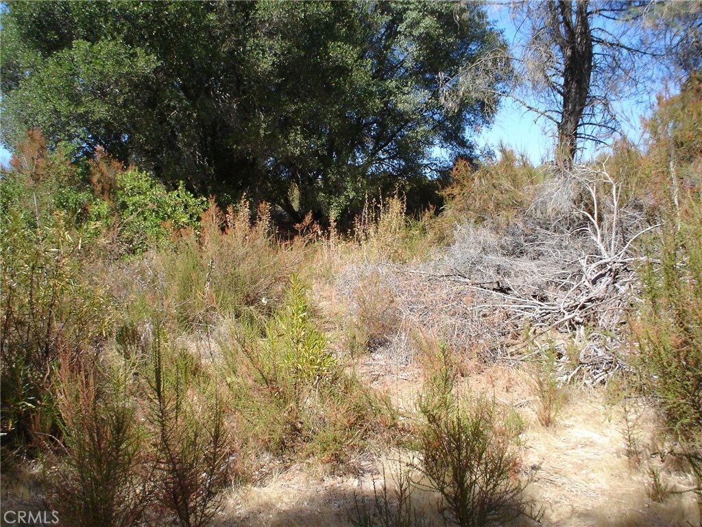 16344 4th Ave, Clearlake, CA 95422 - photo 2