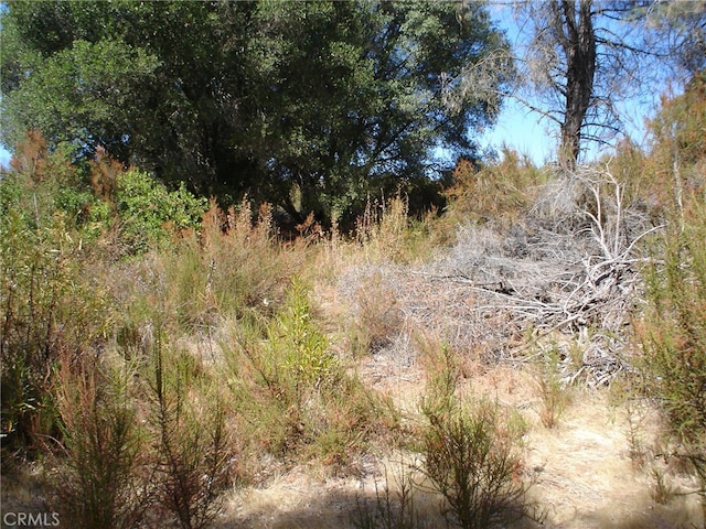 16344 4th Ave, Clearlake, CA 95422 - photo 2