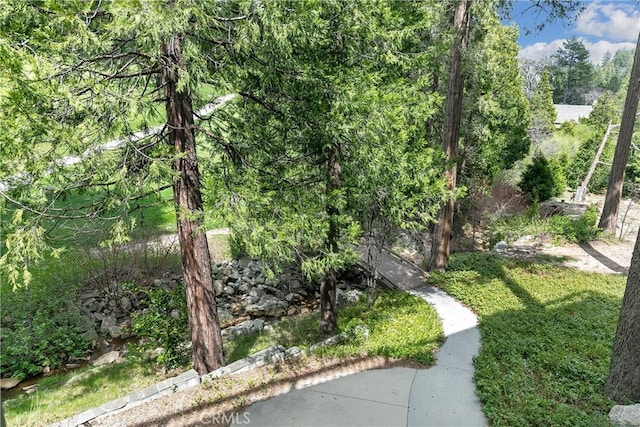 109 S Fairway Dr, Lake Arrowhead, CA 92352 - view of property's community