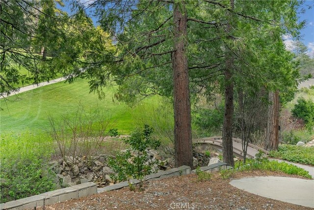 109 S Fairway Dr, Lake Arrowhead, CA 92352 - view of yard